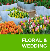 Floral & Wedding